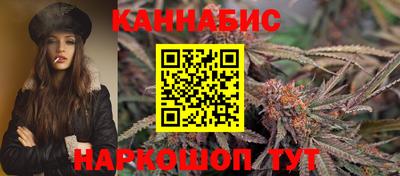 соль ск Новозыбков