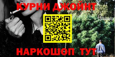соль ск Новозыбков