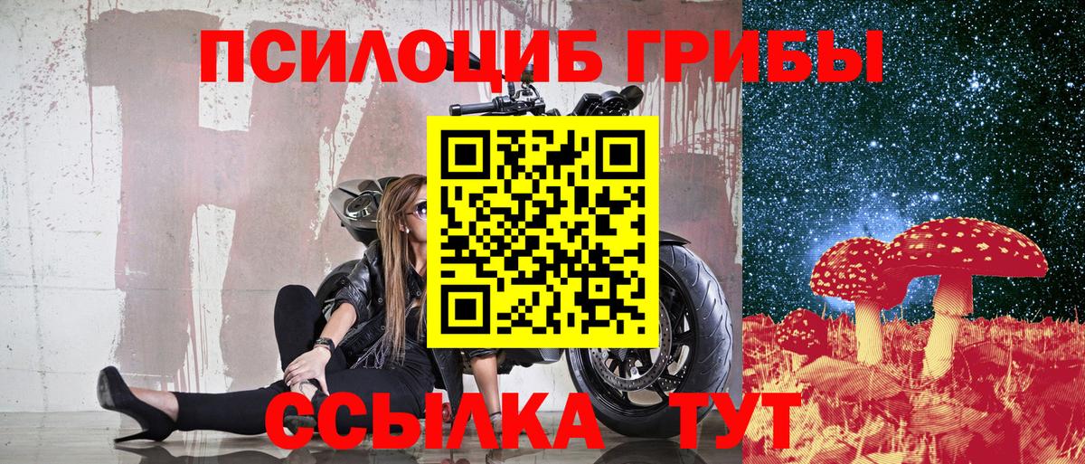 Галлюциногенные грибы MAGIC MUSHROOMS  купить наркоту  Тосно  Вход с VPN 